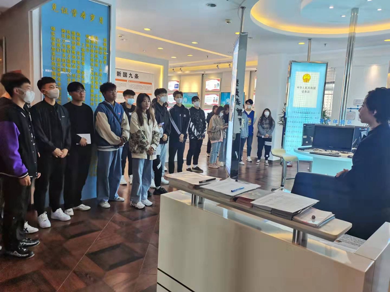 图片展示